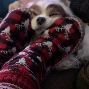 Meet your Posher, Juliann